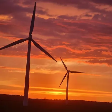 Hotel Stokkegaarden's & 3*