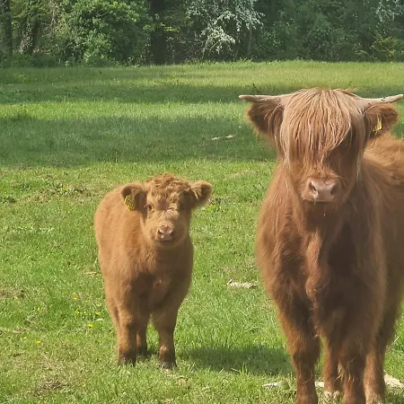 Stokkegaarden's & 3* Stokkemarke
