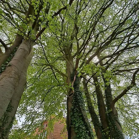 Stokkegaarden's & Hotel Stokkemarke