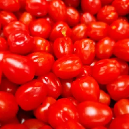 Stokkegaarden's & Hotel