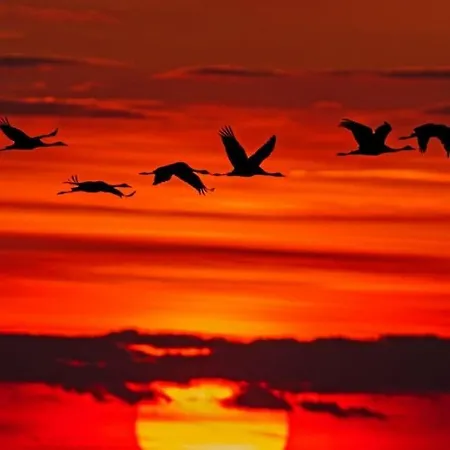 Hotel Stokkegaarden's &