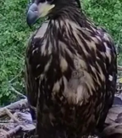 Stokkegaarden's & Stokkemarke